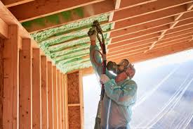 Best Eco-Friendly or Green Insulation Solutions  in Sunray, TX